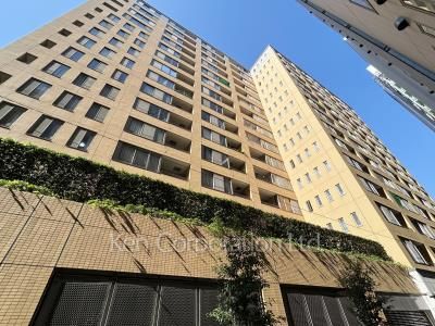 東新宿レジデンシャルタワーの写真 外観ひき