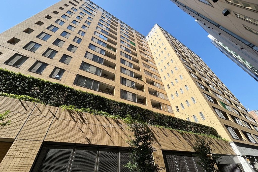 東新宿レジデンシャルタワーの写真 外観ひき