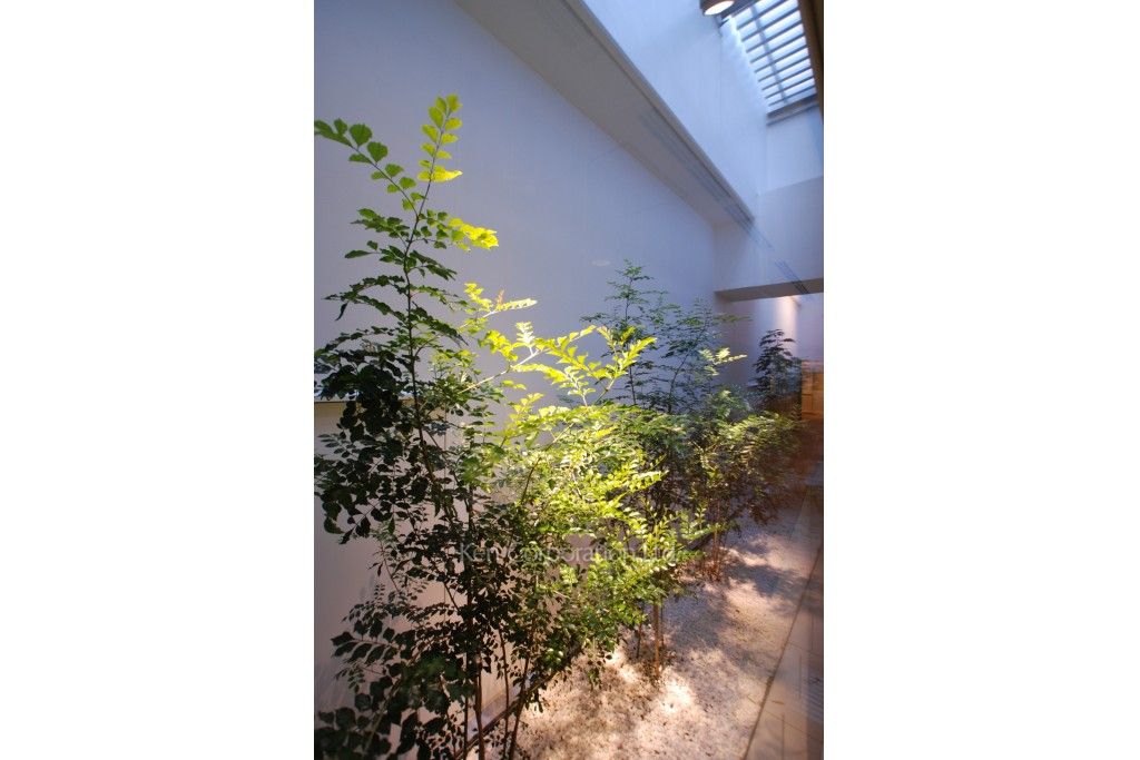  植栽