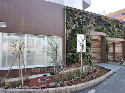 アンビエンテ芝浦の写真 中庭・植栽