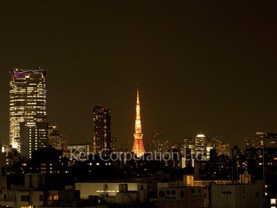  屋上からの眺望（東京タワー方面）  ※写真の無断転載禁止