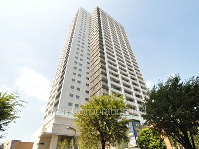 Brillia大井町ラヴィアンタワーの写真 外観ひき