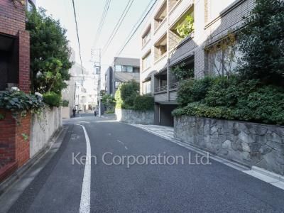 南青山ドミシルの写真 前面道路
