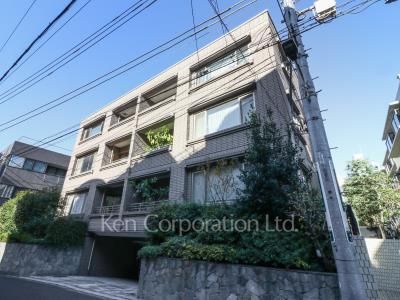 南青山ドミシルの写真 外観ひき