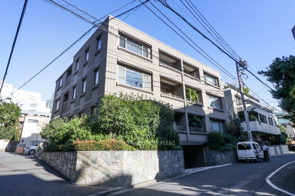 南青山ドミシルの写真 外観ひき