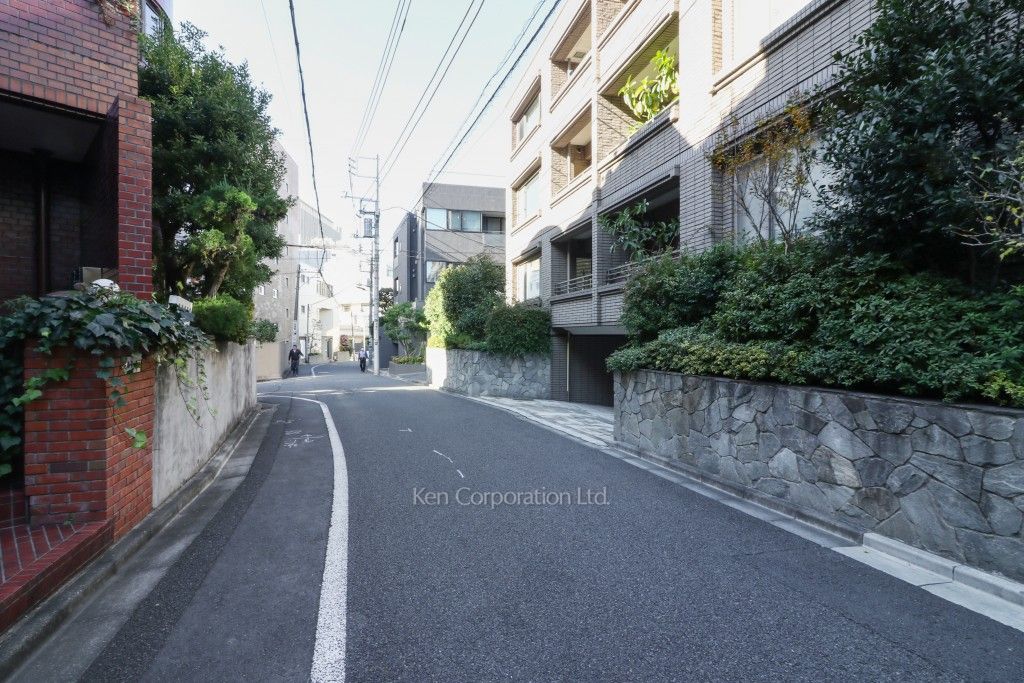 南青山ドミシルの写真 前面道路