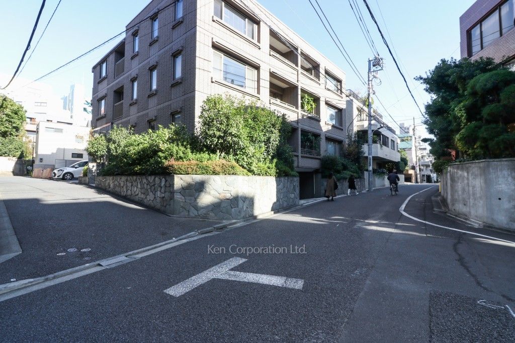 南青山ドミシルの写真 前面道路
