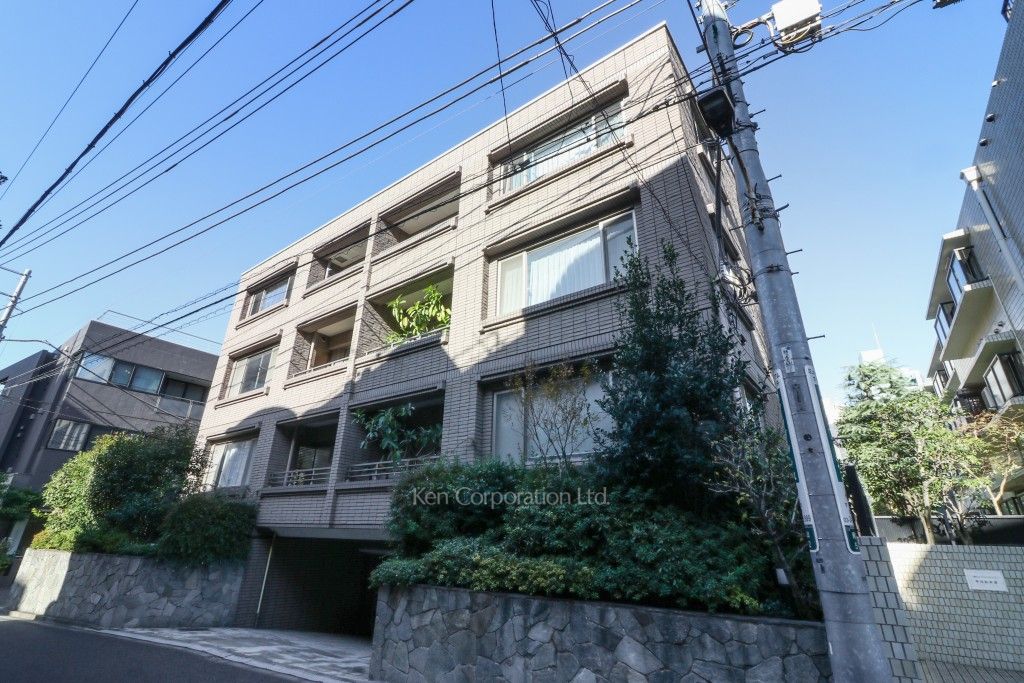 南青山ドミシルの写真 外観ひき
