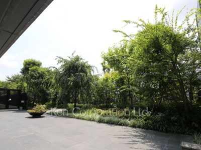 シティテラス下目黒の写真 中庭・植栽