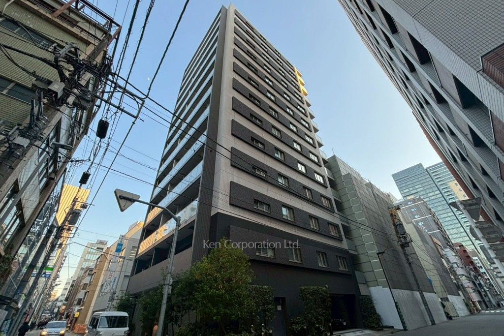 リビオレゾン大手町の写真 外観ひき