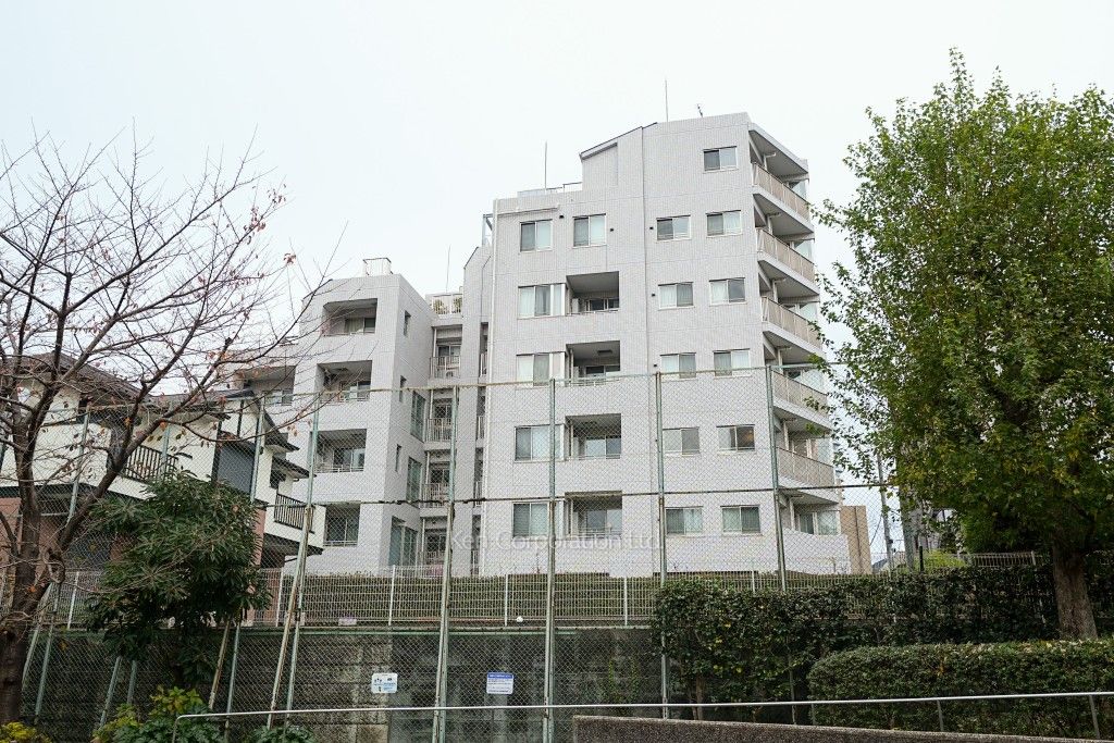  外観ひき
