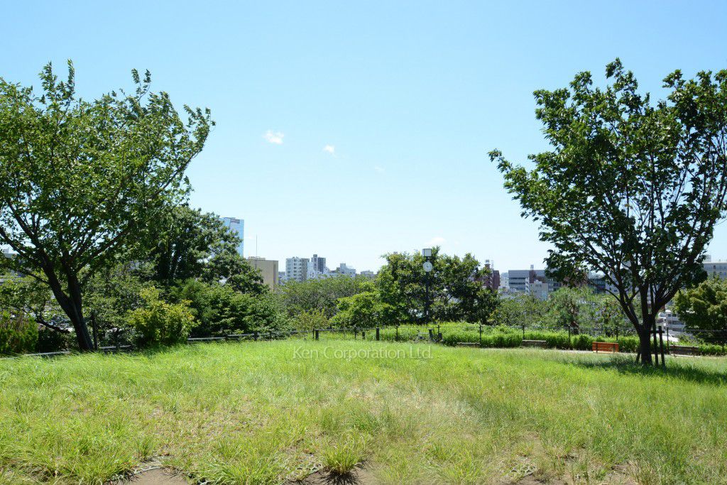 藤和青葉台コープの写真 西郷山公園