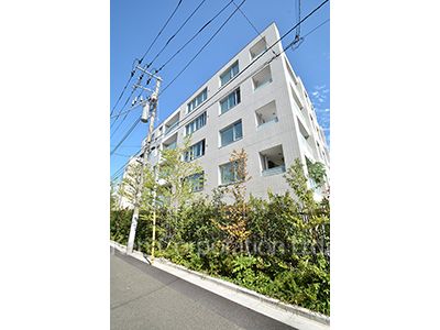 ディアナコート駒場の写真 外観ひき