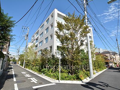ディアナコート駒場の写真 外観ひき
