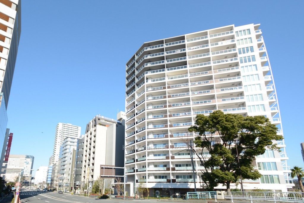  外観ひき
