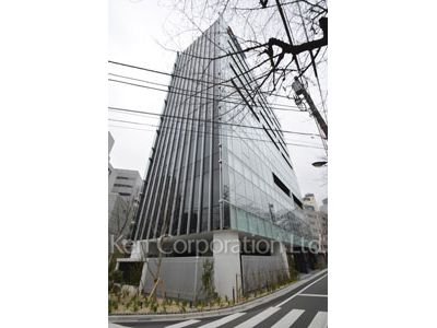 桜ヒルズ九段北の写真 外観ひき