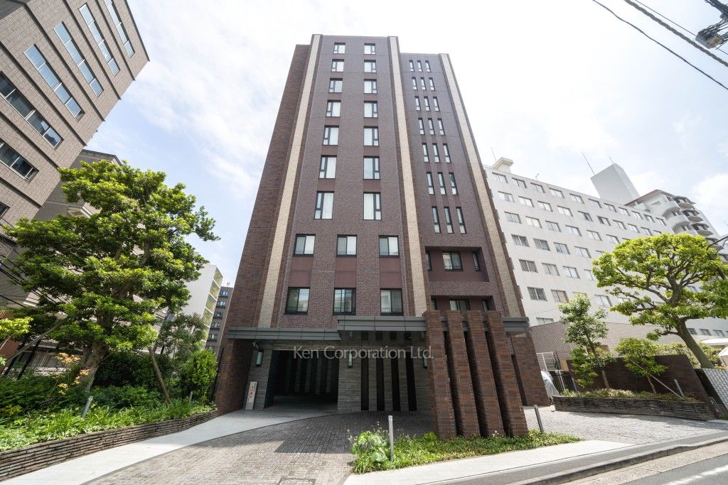  外観ひき