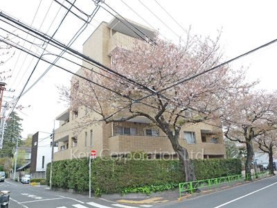 碑文谷ヒルズいしぶみ桜通りの写真 外観ひき