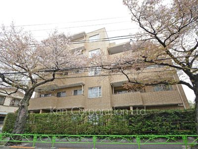 碑文谷ヒルズいしぶみ桜通りの写真 外観ひき