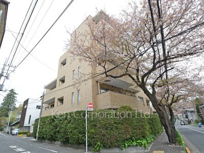 碑文谷ヒルズいしぶみ桜通りの写真 外観ひき