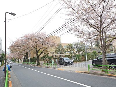 碑文谷ヒルズいしぶみ桜通りの写真 碑さくら通り