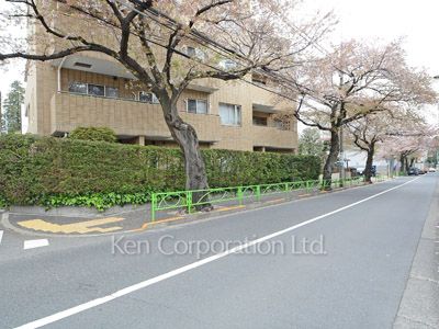 碑文谷ヒルズいしぶみ桜通りの写真 碑さくら通り