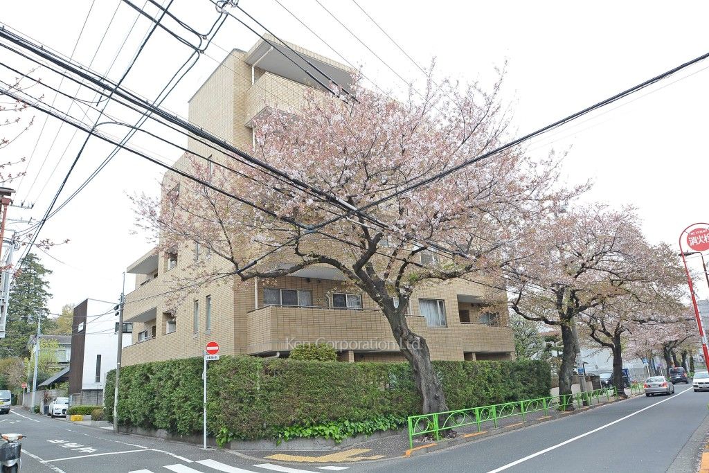 碑文谷ヒルズいしぶみ桜通りの写真 外観ひき