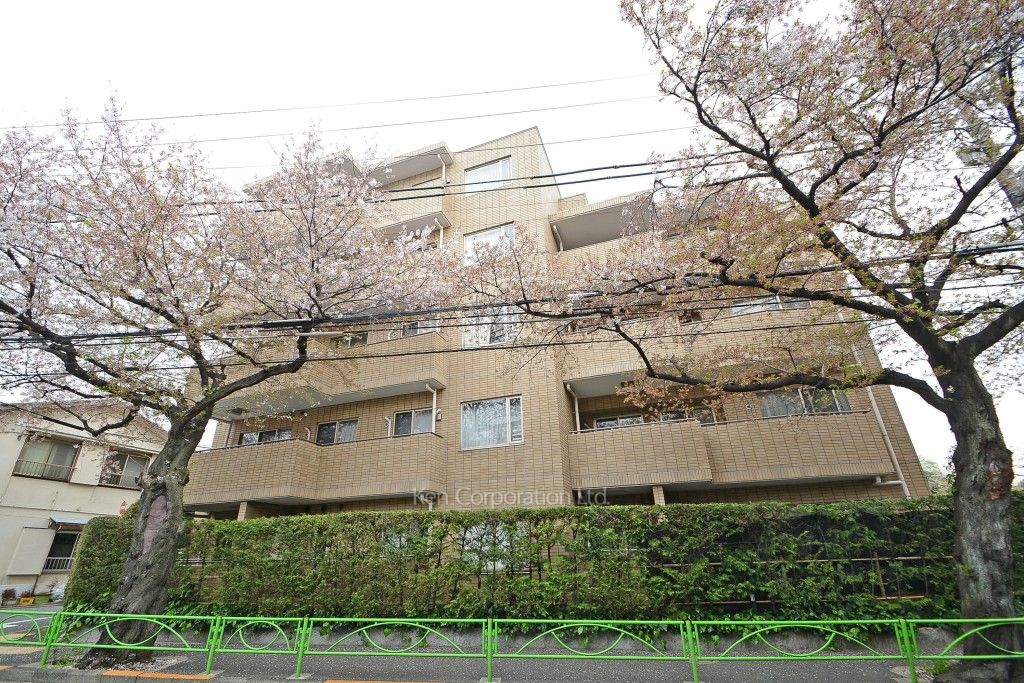 碑文谷ヒルズいしぶみ桜通りの写真 外観ひき