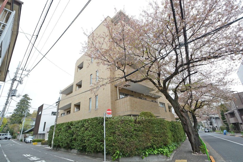 碑文谷ヒルズいしぶみ桜通りの写真 外観ひき
