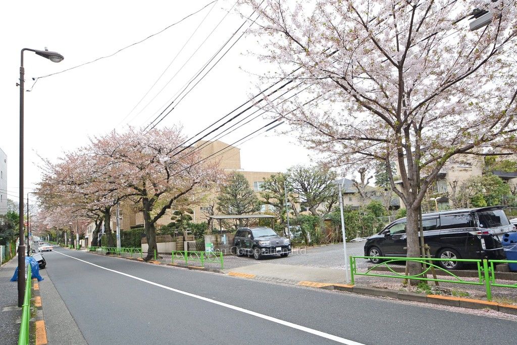 碑文谷ヒルズいしぶみ桜通りの写真 碑さくら通り