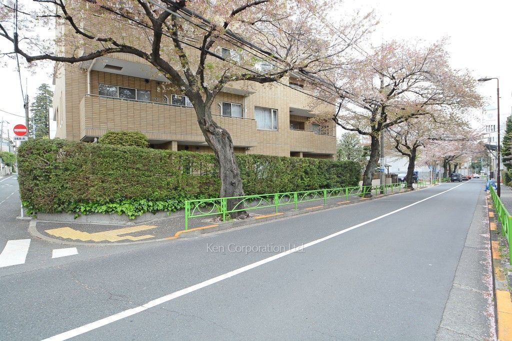 碑文谷ヒルズいしぶみ桜通りの写真 碑さくら通り
