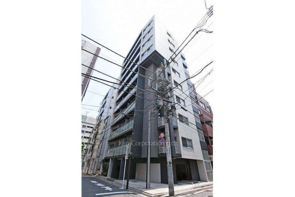  外観ひき