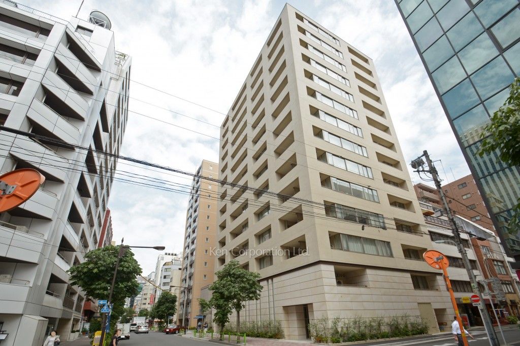 ウェリス銀座2丁目の写真 外観ひき