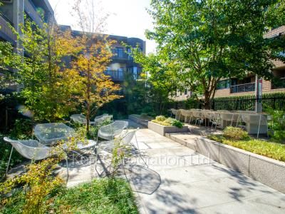  中庭・植栽