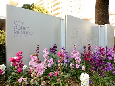 シティコート目黒の写真 マンションプレート