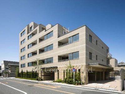  外観ひき
