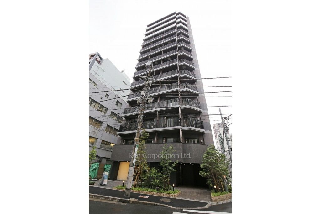  外観ひき