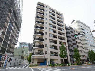 Brillia THE RESIDENCE TOKYO YAESU AVENUEの写真 外観ひき
