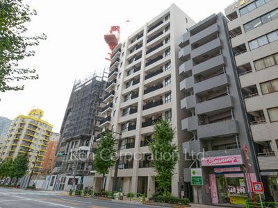 Brillia THE RESIDENCE TOKYO YAESU AVENUEの写真 外観ひき