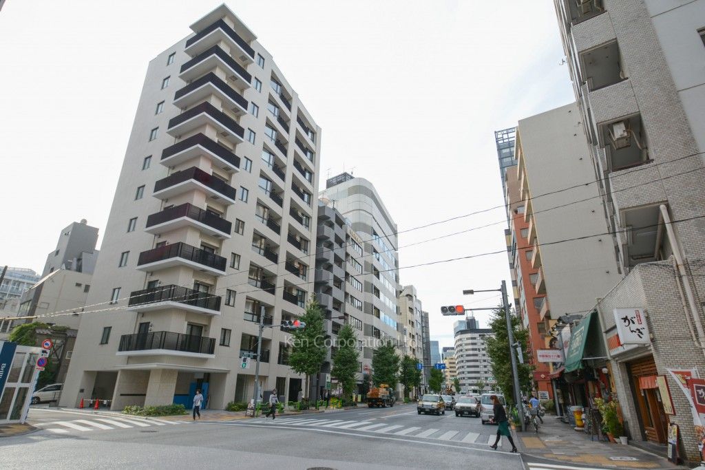 Brillia THE RESIDENCE TOKYO YAESU AVENUEの写真 前面道路