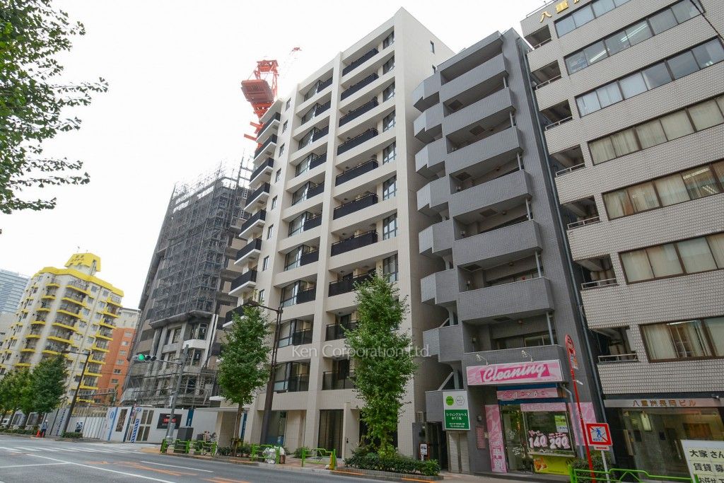 Brillia THE RESIDENCE TOKYO YAESU AVENUEの写真 外観ひき