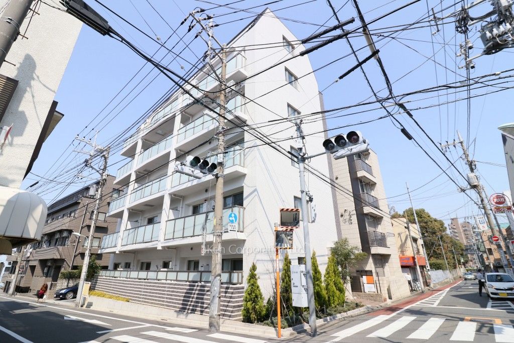  外観ひき