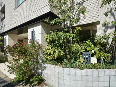 プラウド目黒洗足の写真 中庭・植栽