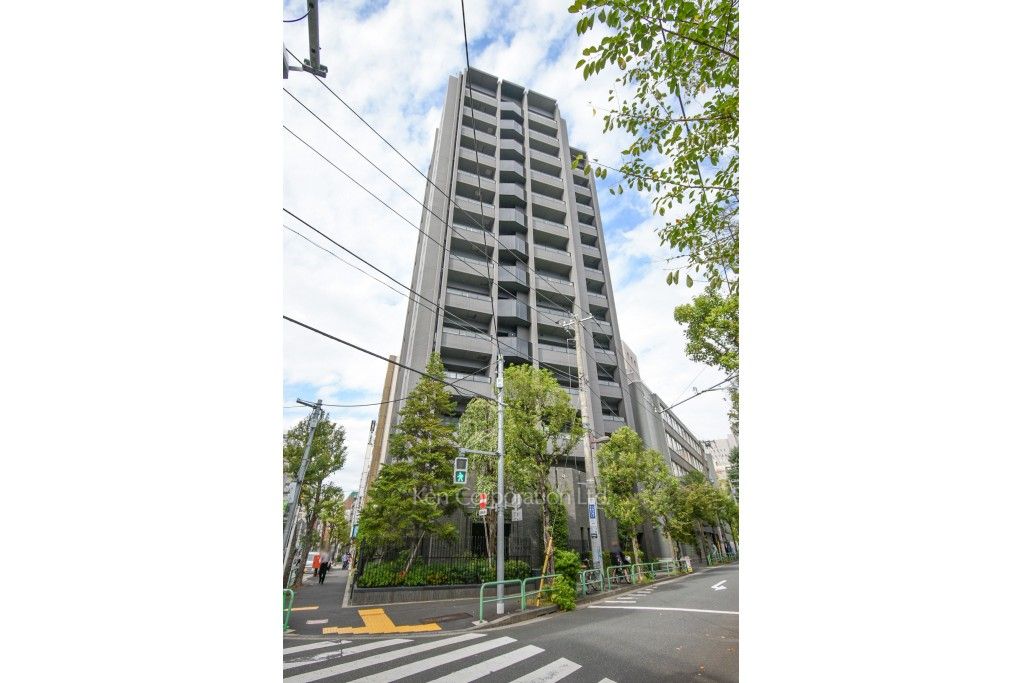  外観ひき