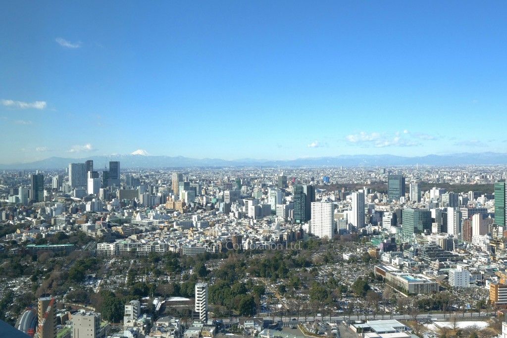  屋上テラスからの眺望