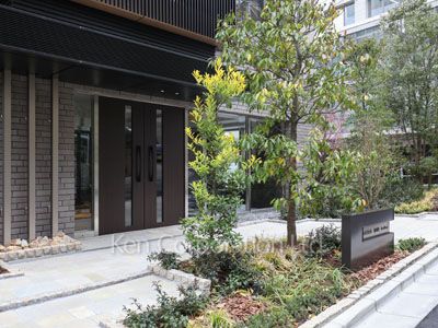  外観より