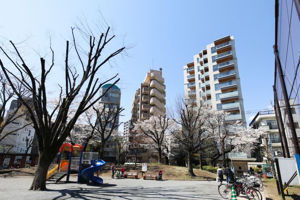  外観ひき