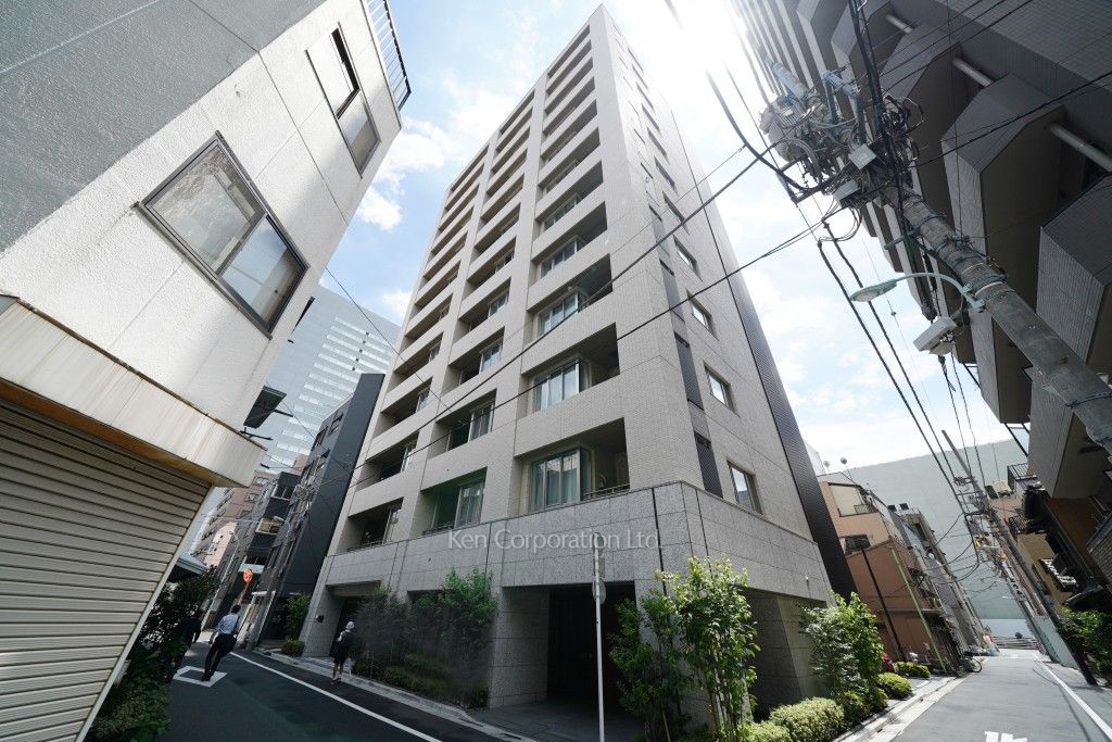 ルフォン築地ザ・レジデンスの写真 外観ひき