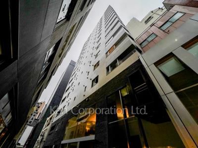 アリビオ東京八重洲の写真 外観ひき
