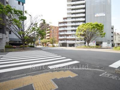 プライマル品川大森海岸の写真 前面道路